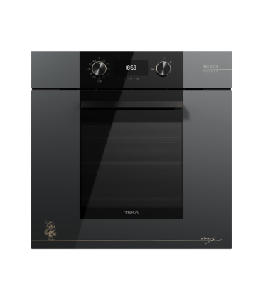 Teka HLB 84 P VG Horno pirolítico con función EasySteam para cocinar al vapor, Edición Van Gogh Museum, Gris, Serie Maestro