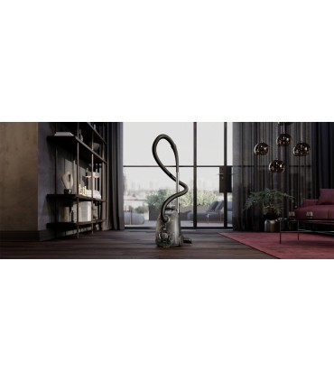 AEG AB31C1GG Aspiradora con bolsa Serie Clean 3000 de 750 W y 78 dB(A), Gris grafito